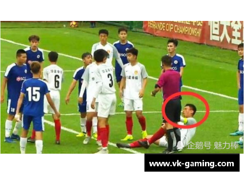 奥特佳球员：超越赛场的巅峰之路