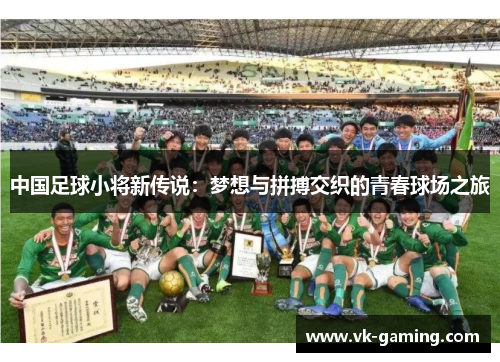 中国足球小将新传说：梦想与拼搏交织的青春球场之旅